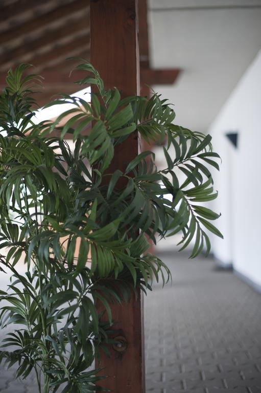 Hotel Am Park - Krefeld - Duesseldorf Willich Extérieur photo